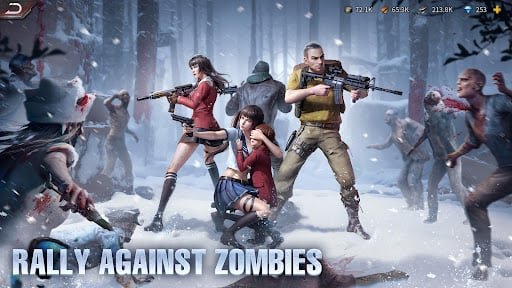 Puzzles & Survival